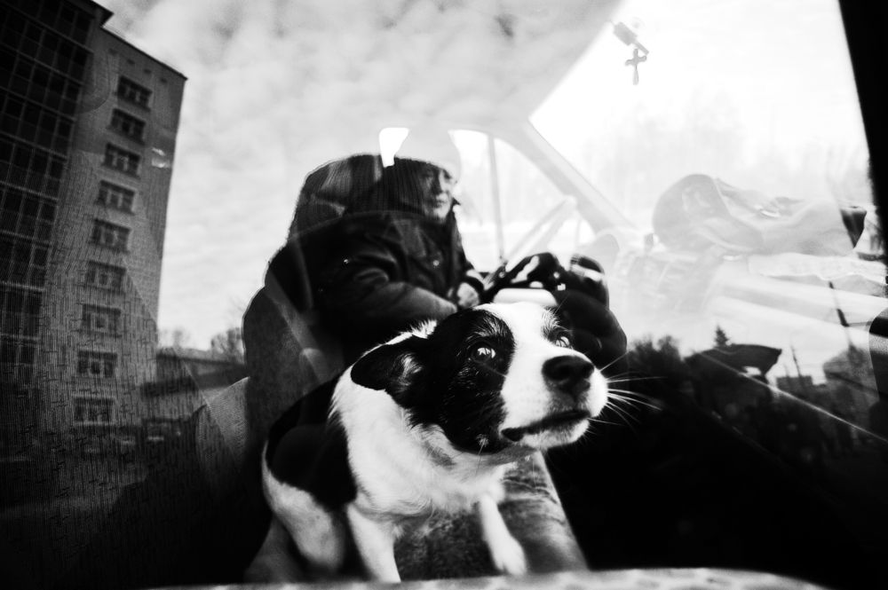 Photograph by Серпов Алексей