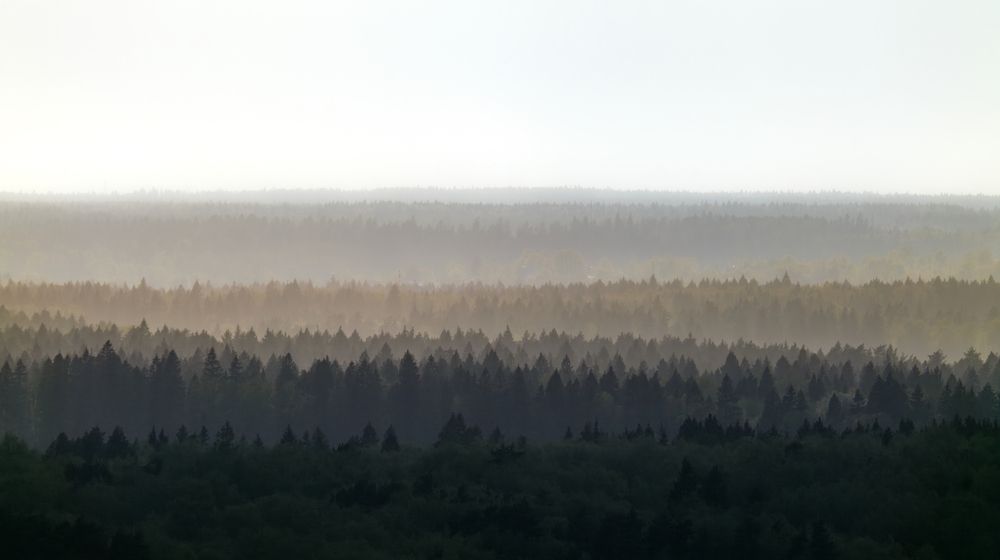 Photograph by Дмитрий Орешков