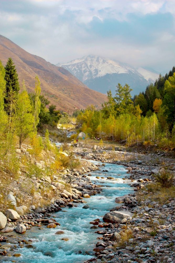 Фотография автора Марина Борисова