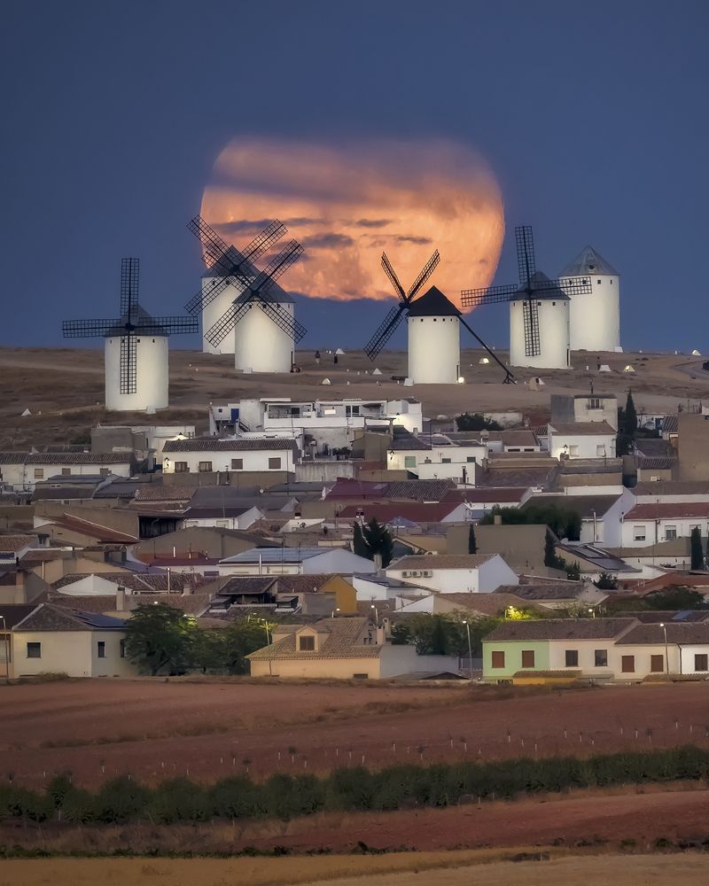 Photograph by Jesús Manzaneque