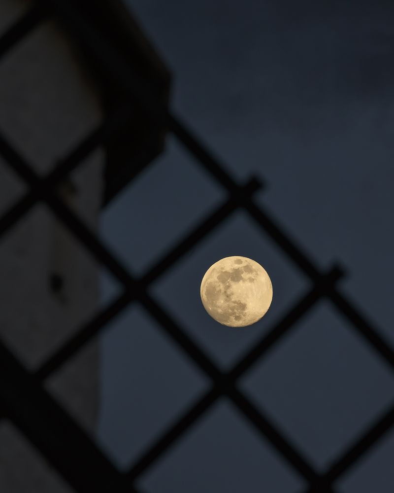 Photograph by Jesús Manzaneque