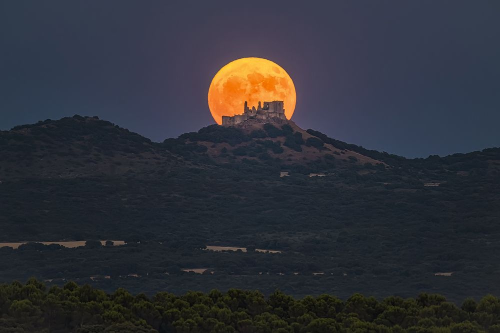 Photograph by Jesús Manzaneque
