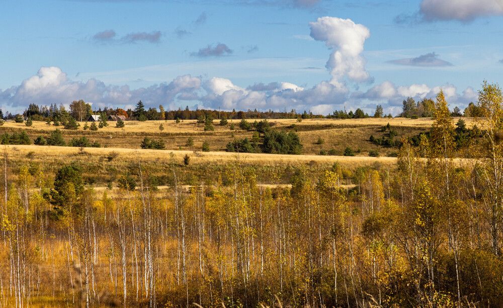 Родная сторона.