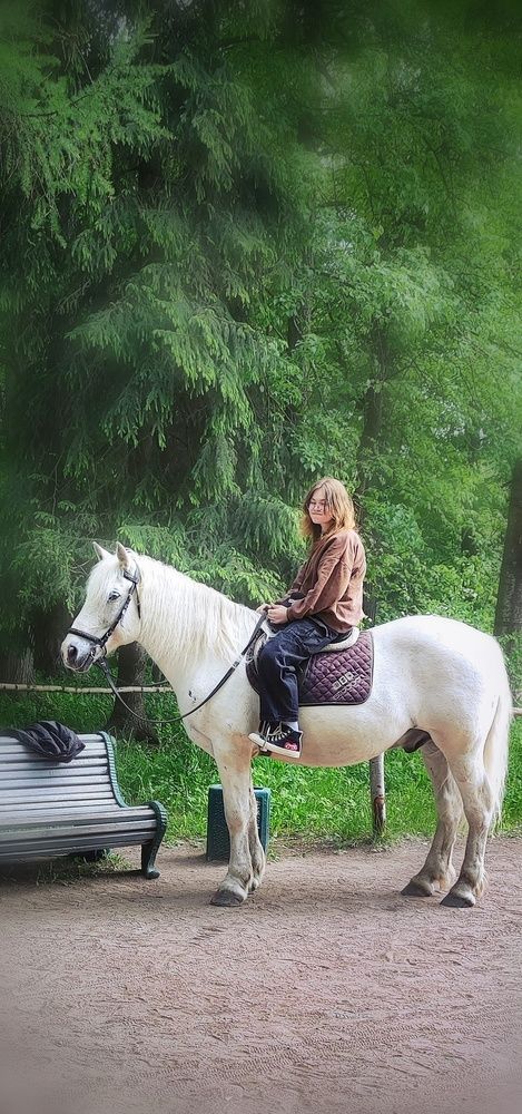 Photograph by Алла Холодова