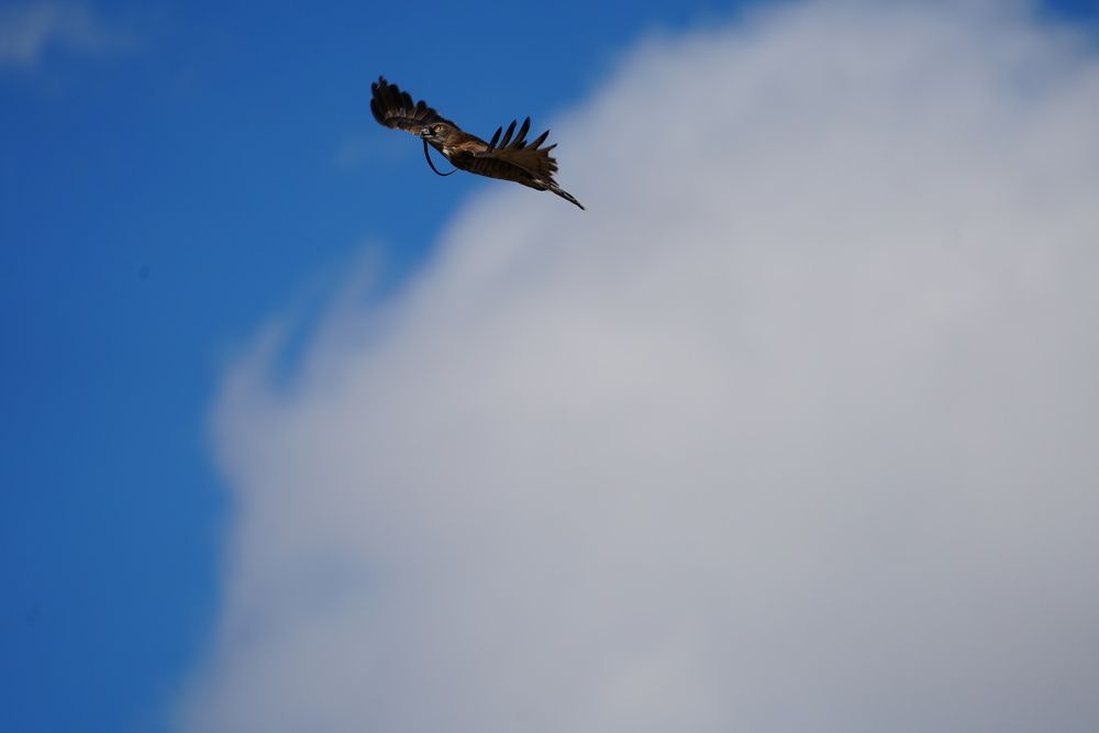 Photograph by Kıvanç OYUNDA