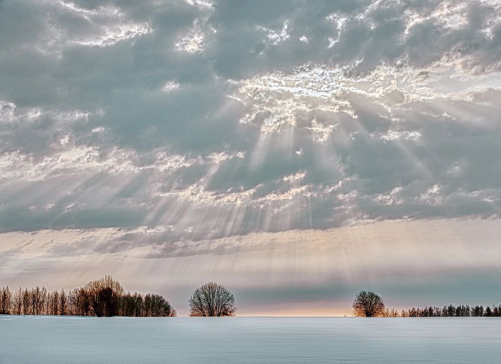 Фотография автора Александр Сальников