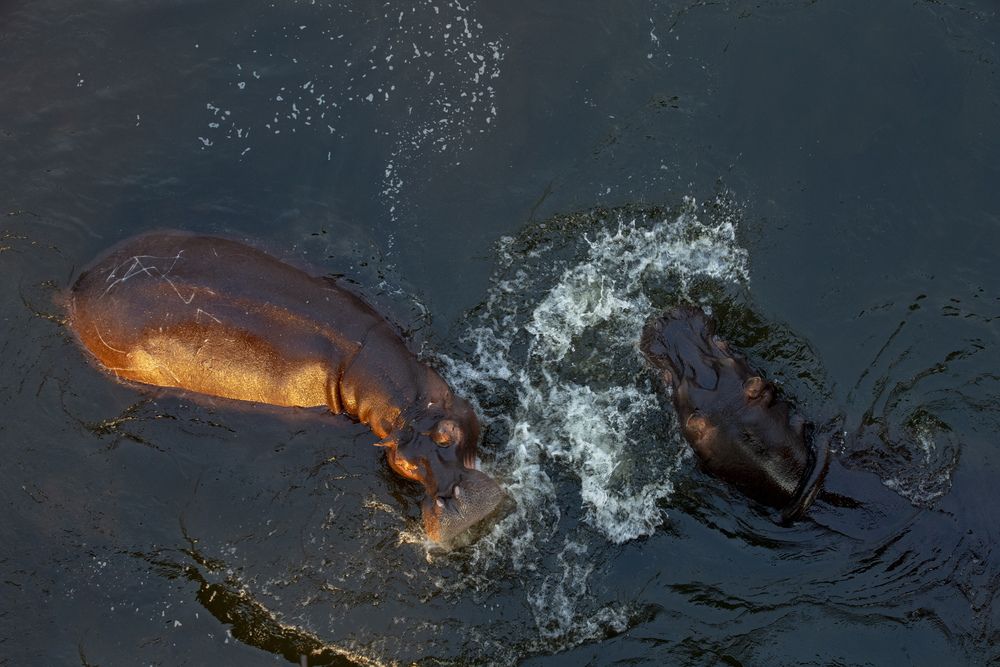 Photograph by Alena Poklonskaia