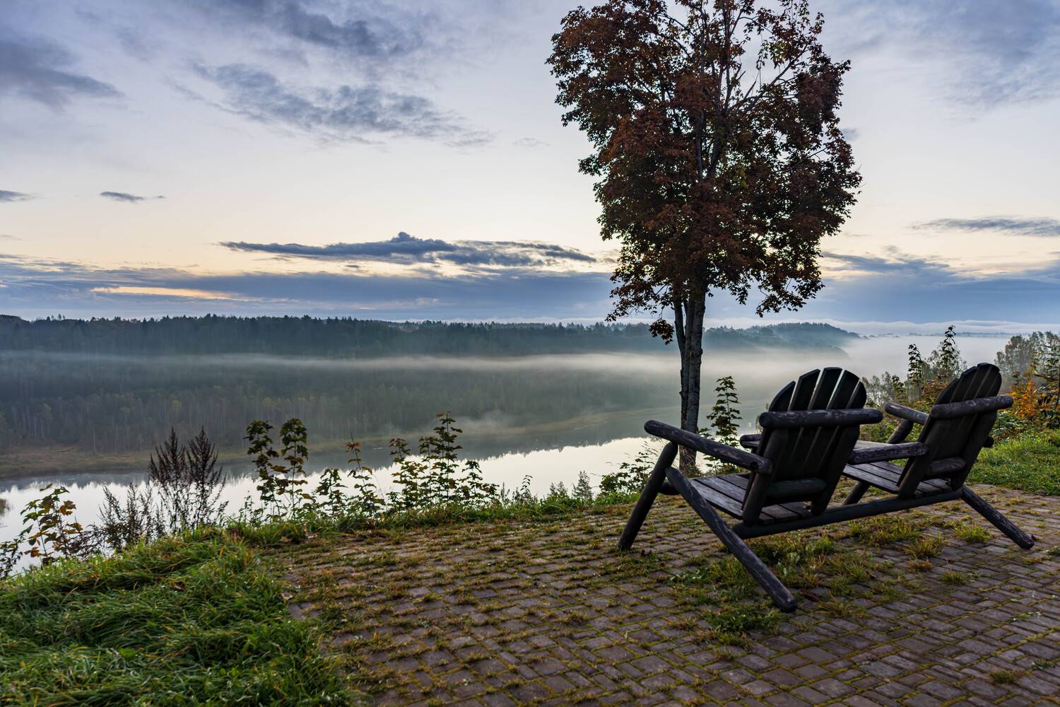 Туманное утро. Туманное утро.