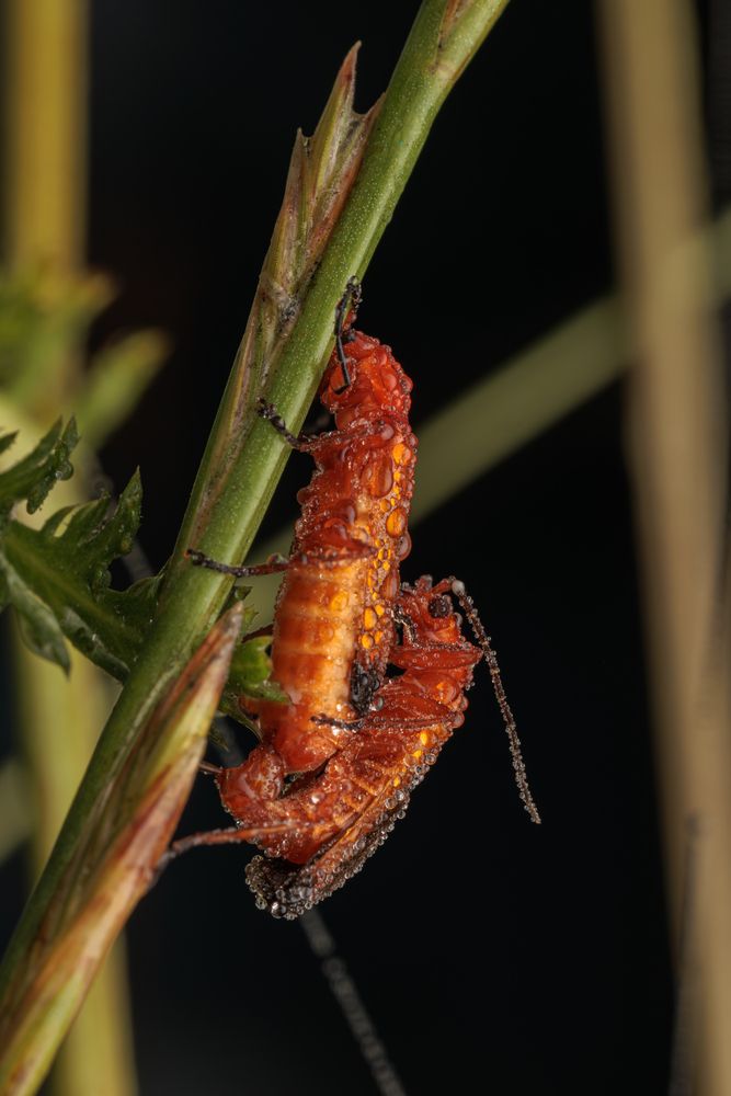 Photograph by Дмитрий Пищало