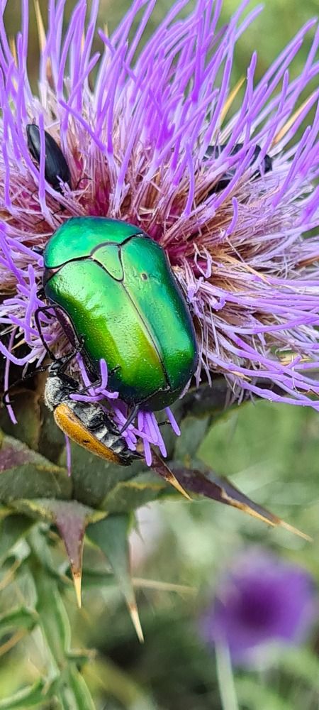 Photograph by Nadzeya