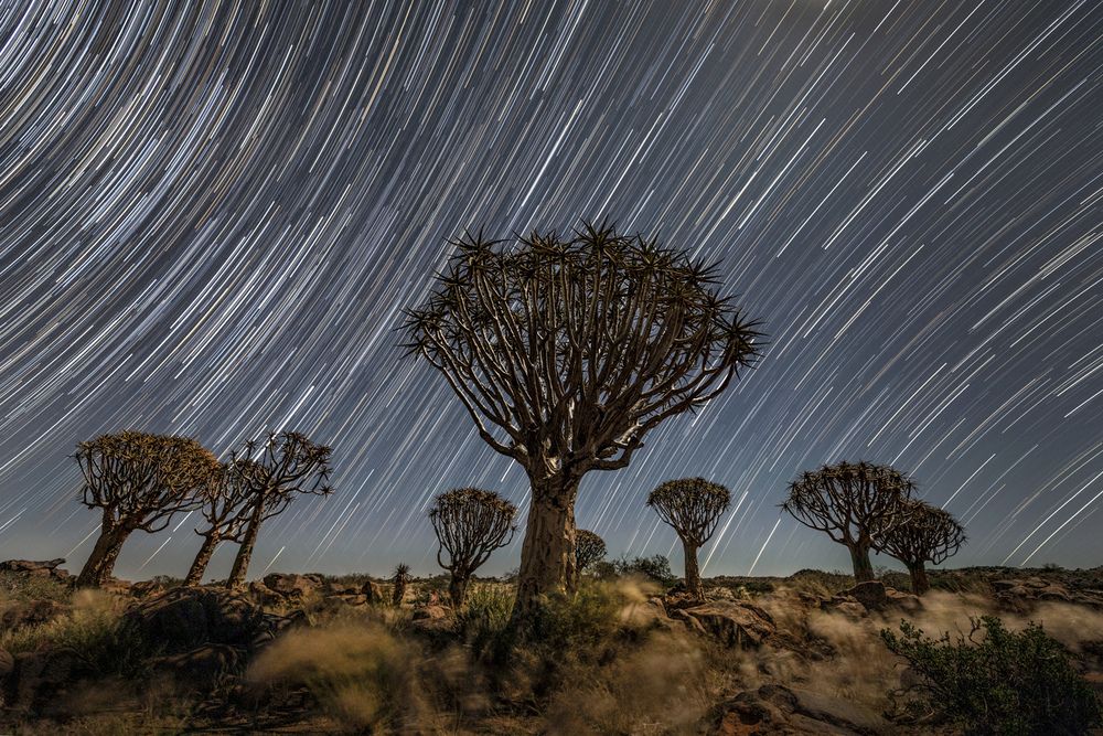 Photograph by Yusuf Tatliturk