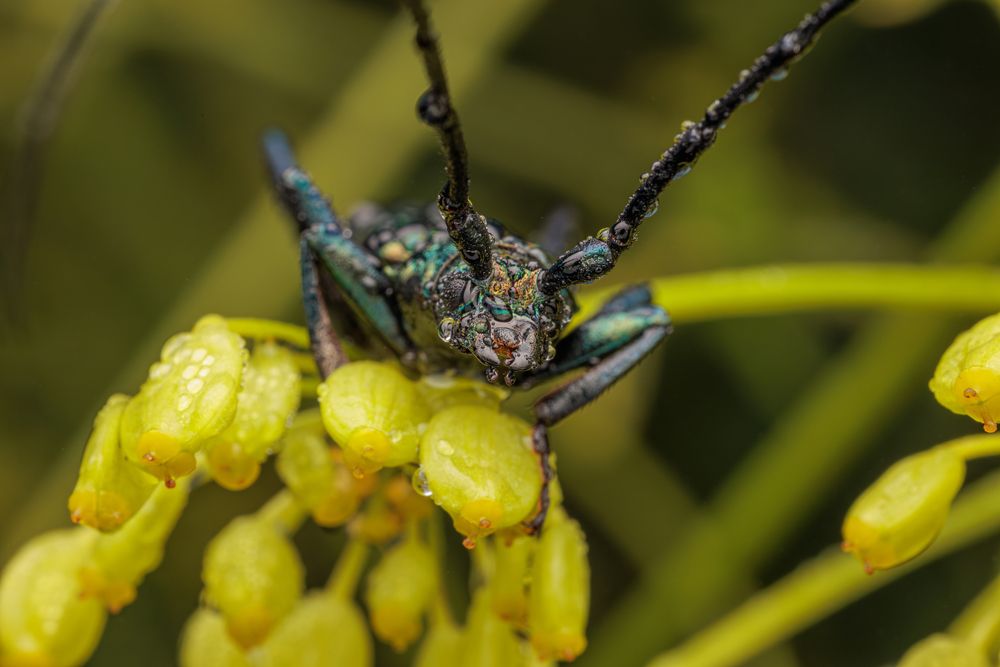 Photograph by Дмитрий Пищало