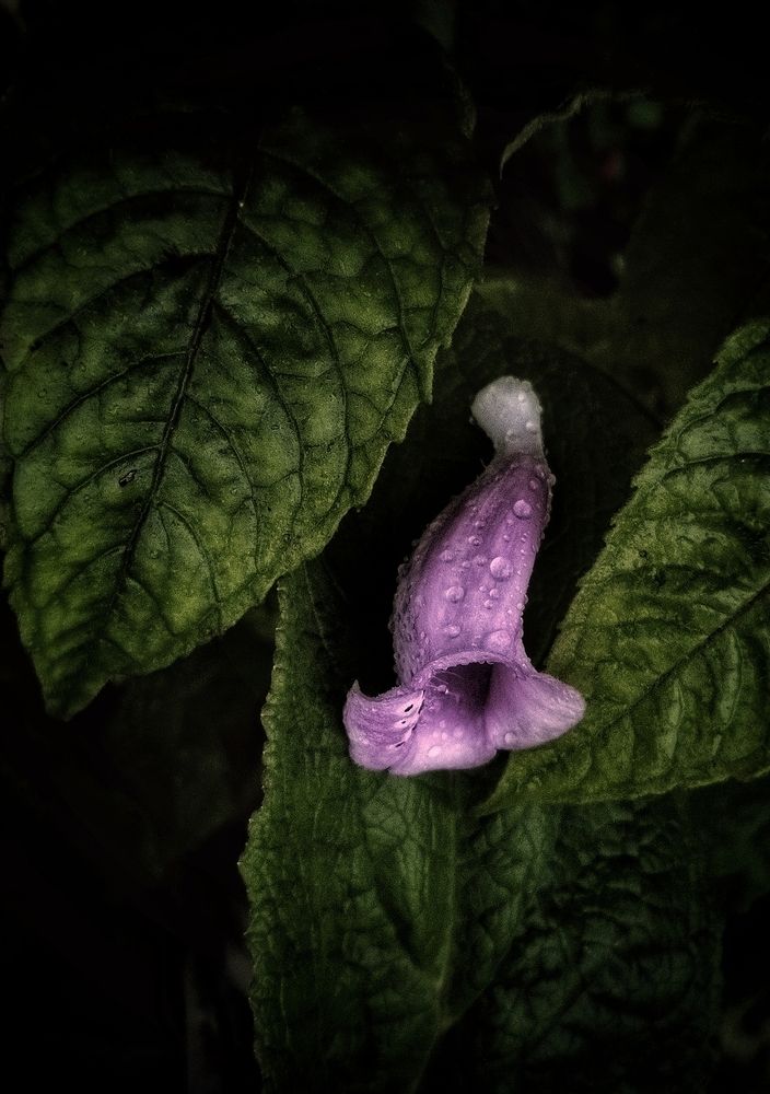 Photograph by Alexander Svetlov