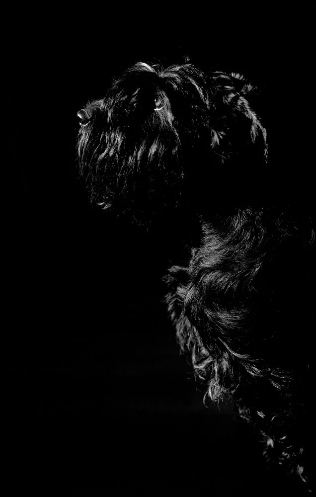 Photograph by Татьяна Новикова