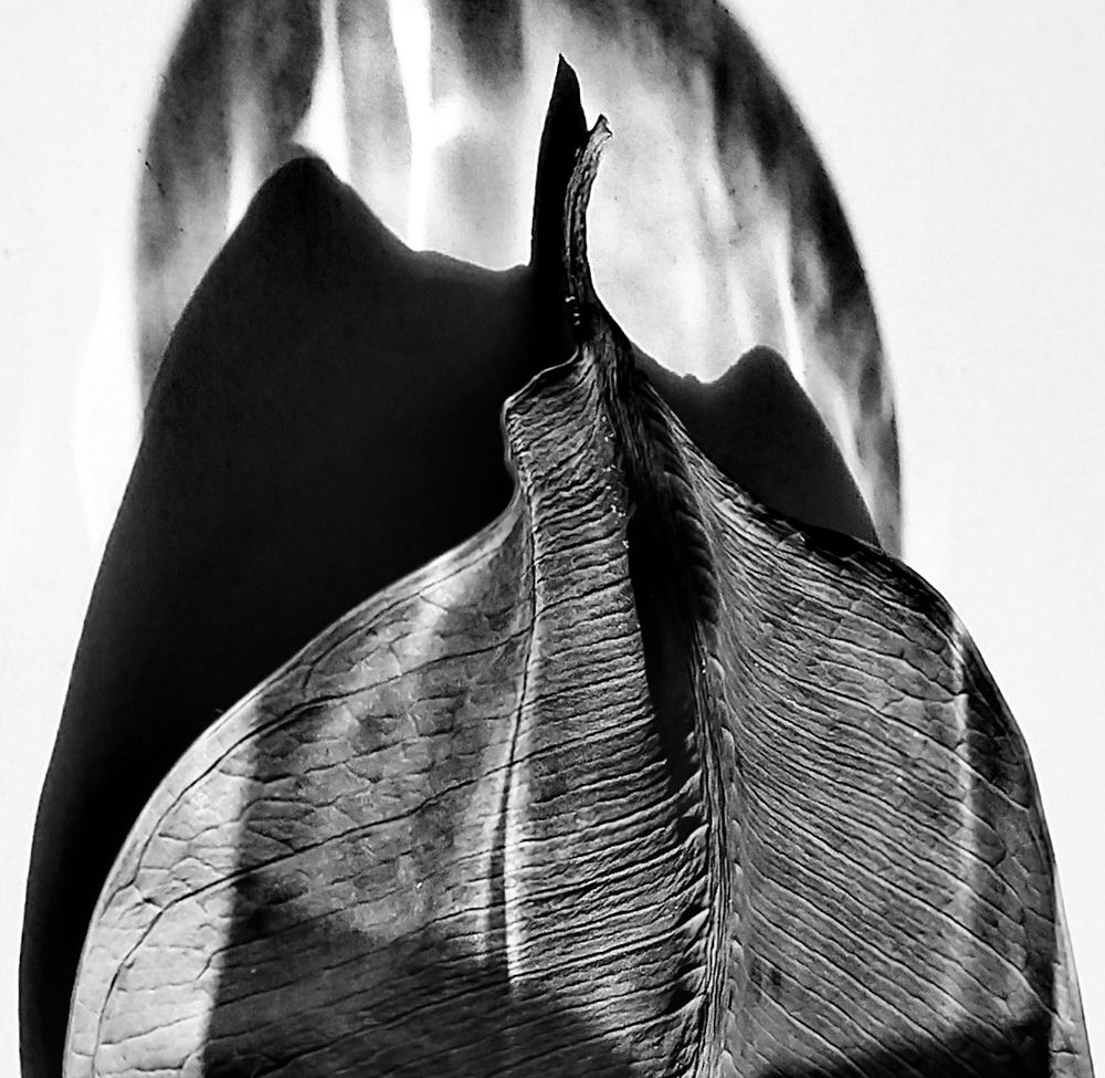Photo #13330211