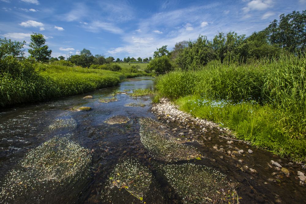 Исток Москвы реки