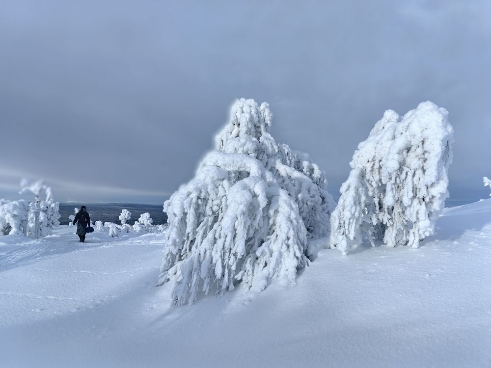 Photograph by OLGA MIKHNEVICH