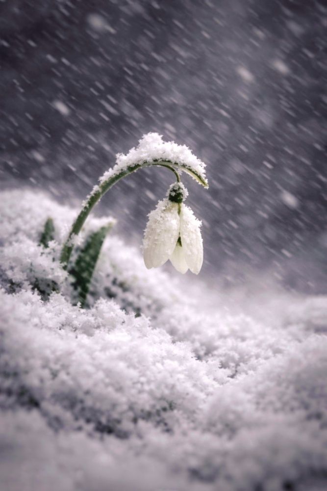 Photograph by Vladislav Velkov