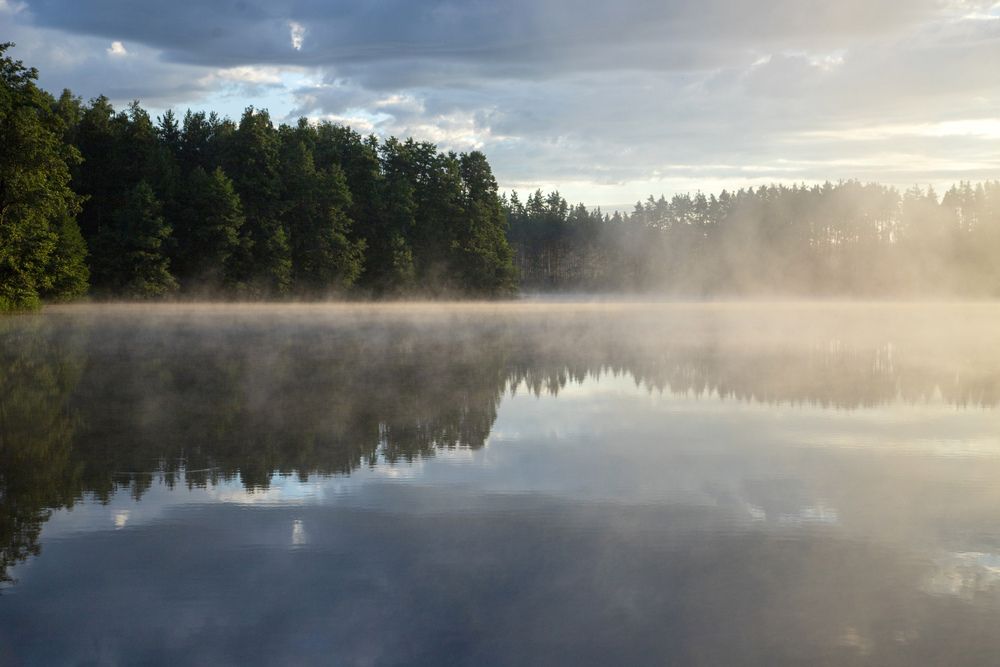 Photograph by Alena Poklonskaia