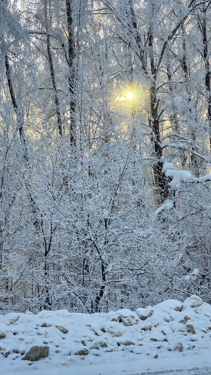 Photo #13330334