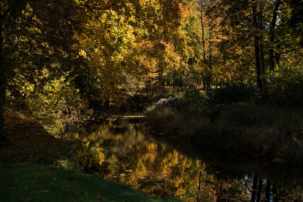 Photograph by Nutautiene Kristina