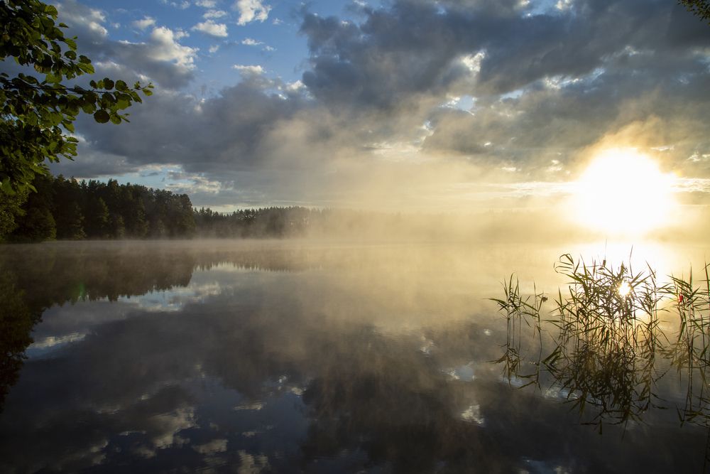 Photograph by Alena Poklonskaia