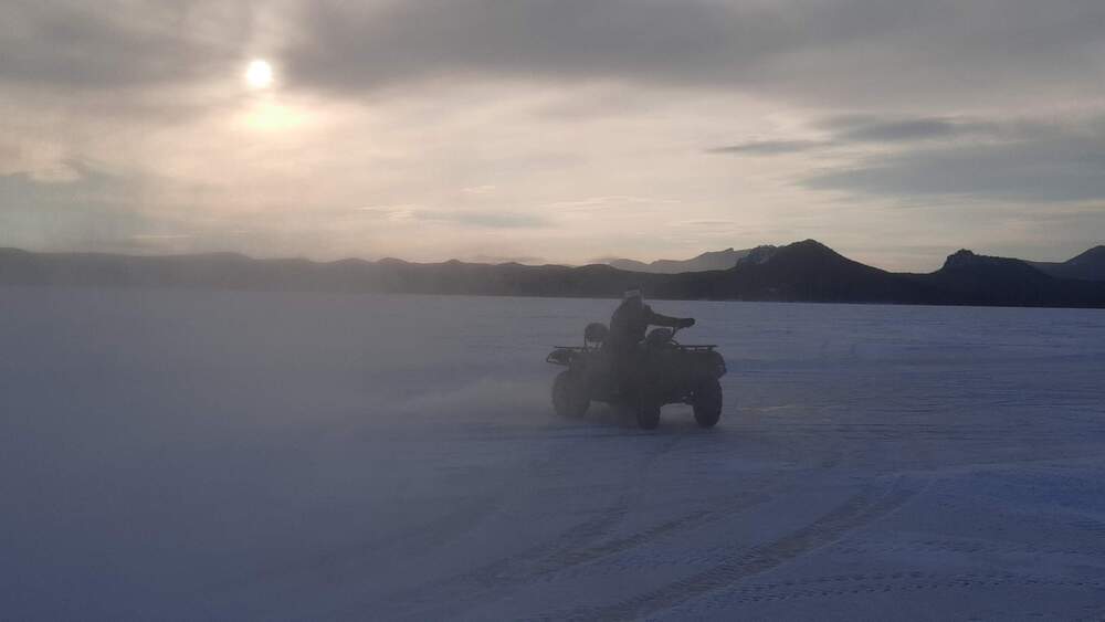 Фотография автора Анна Клюева