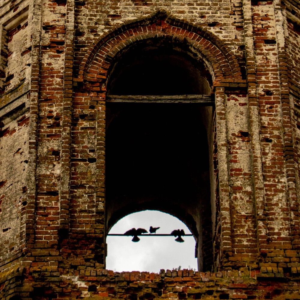 Photograph by Ксения Щукина