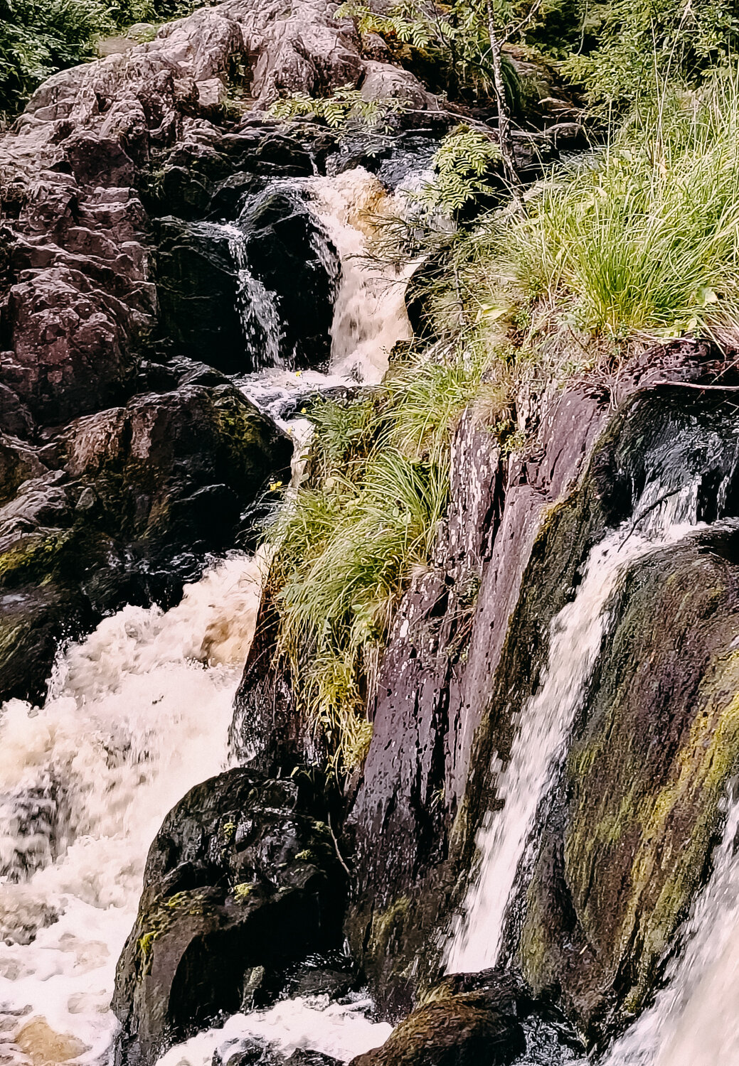 Photo #13330465