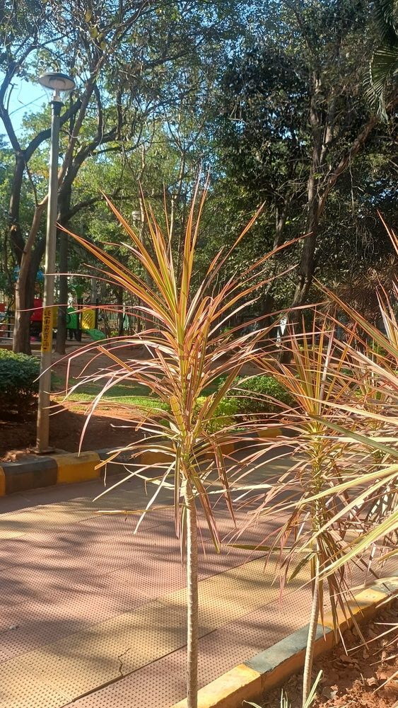 Beautiful nature