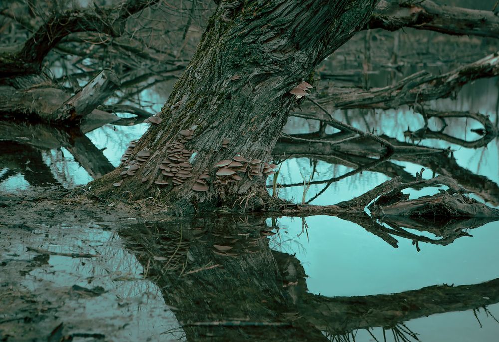 Photograph by Maryia Korenchuk