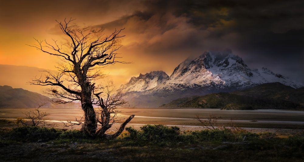 Фотография автора Eduardo Modolo