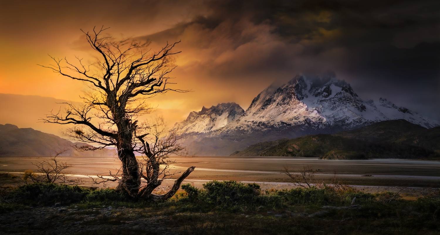 Фотография #13330783