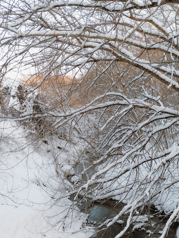 Photograph by Наталия Соболева