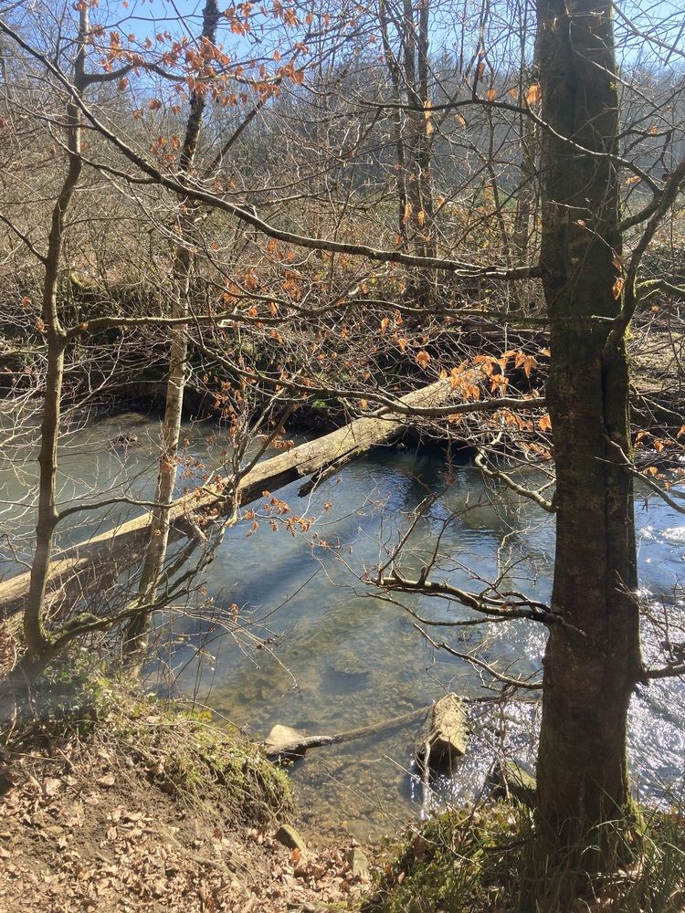 River between Belgium and Luxembourg