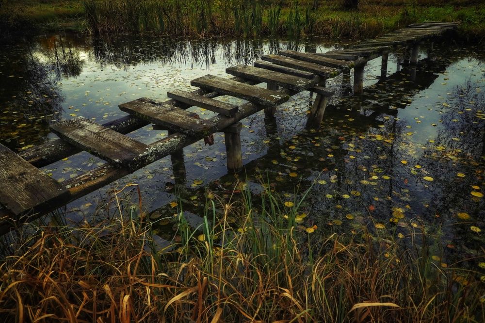 Photograph by Микрокосмос Владимир