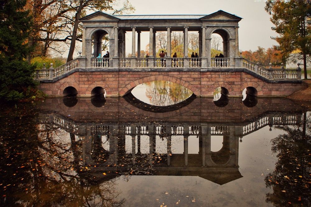 Photograph by Микрокосмос Владимир