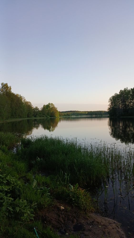 Photograph by Екатерина