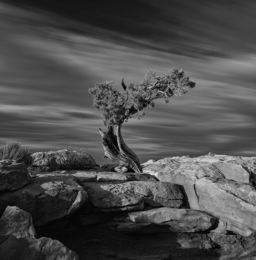 Photograph by Электромир Brizhak