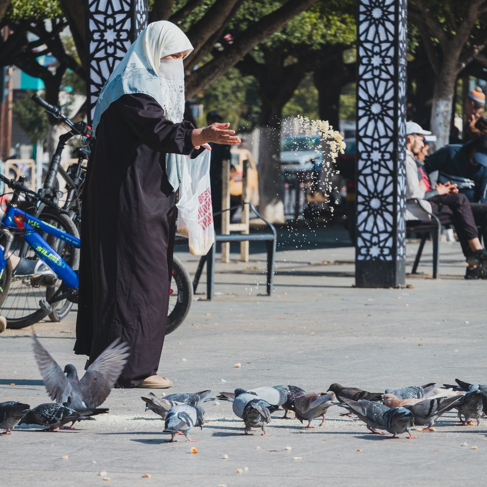 Photograph by Bousmaha