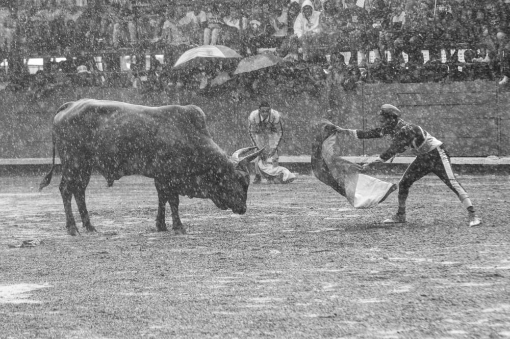 DEFIANCE UNDER THE RAIN IN EL SEIBO
