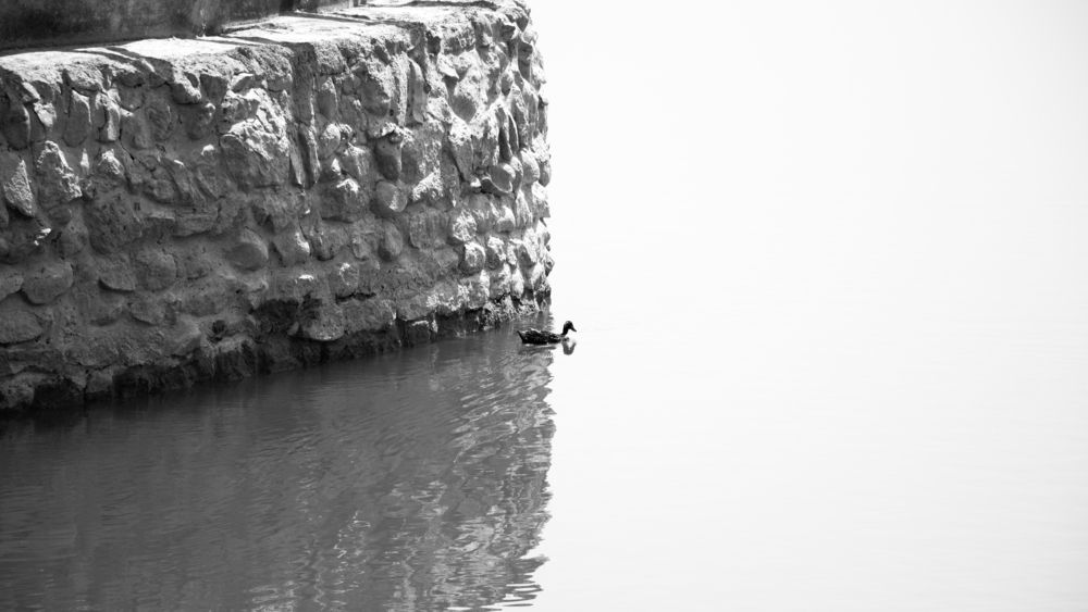 Photograph by Radin Damandan