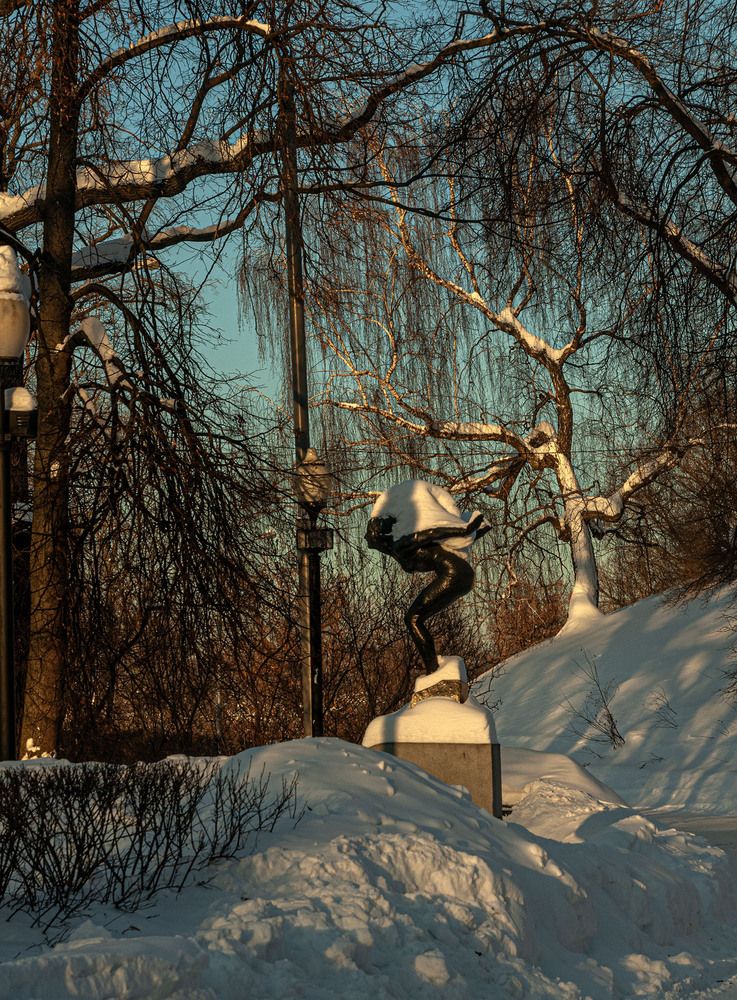 Photograph by Vladimir  Komarov