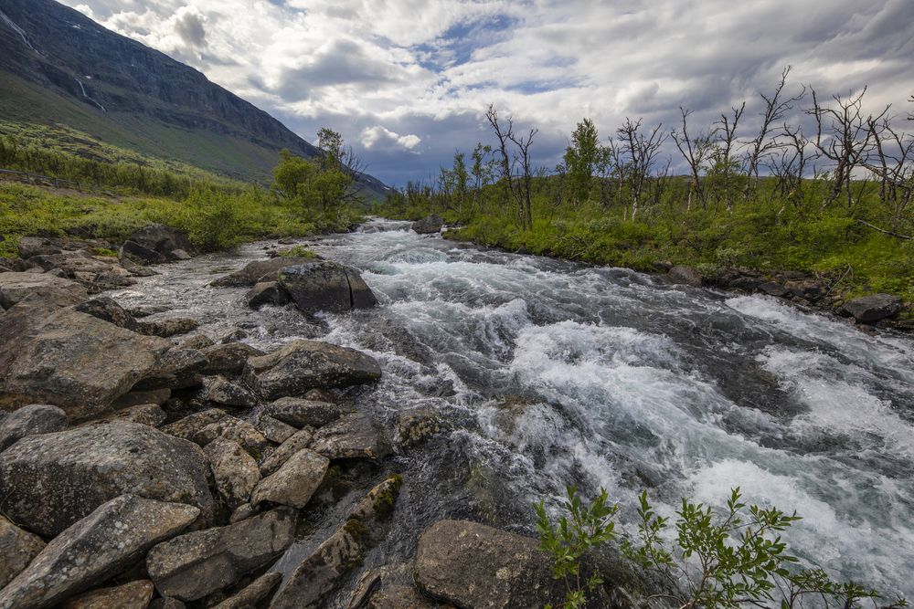 Фотография автора Lapland