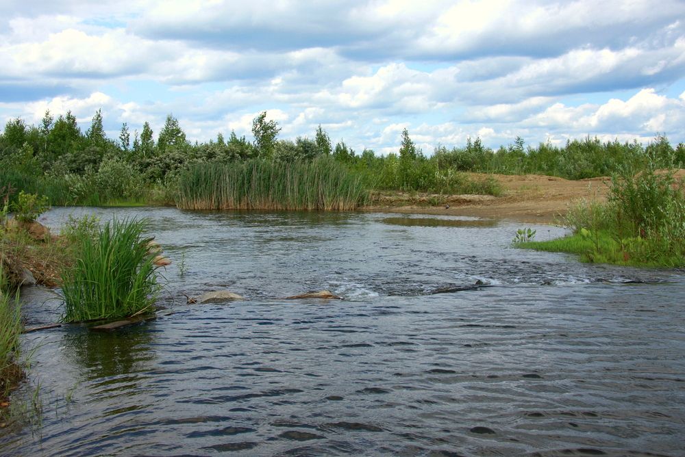 Фотография автора Nelya  Lysenko