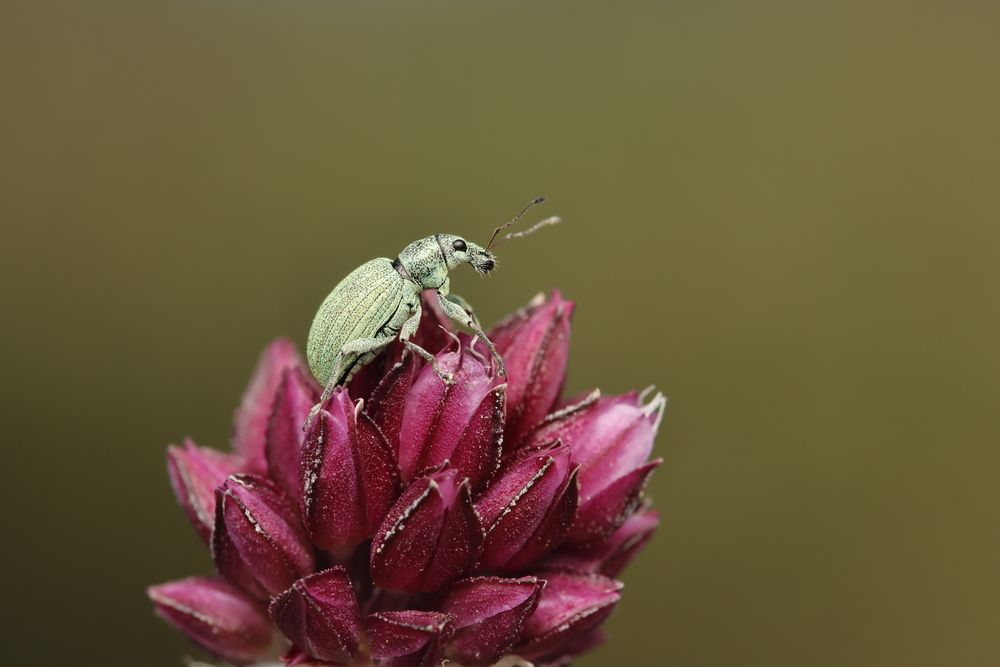 Photograph by Yakup Temel