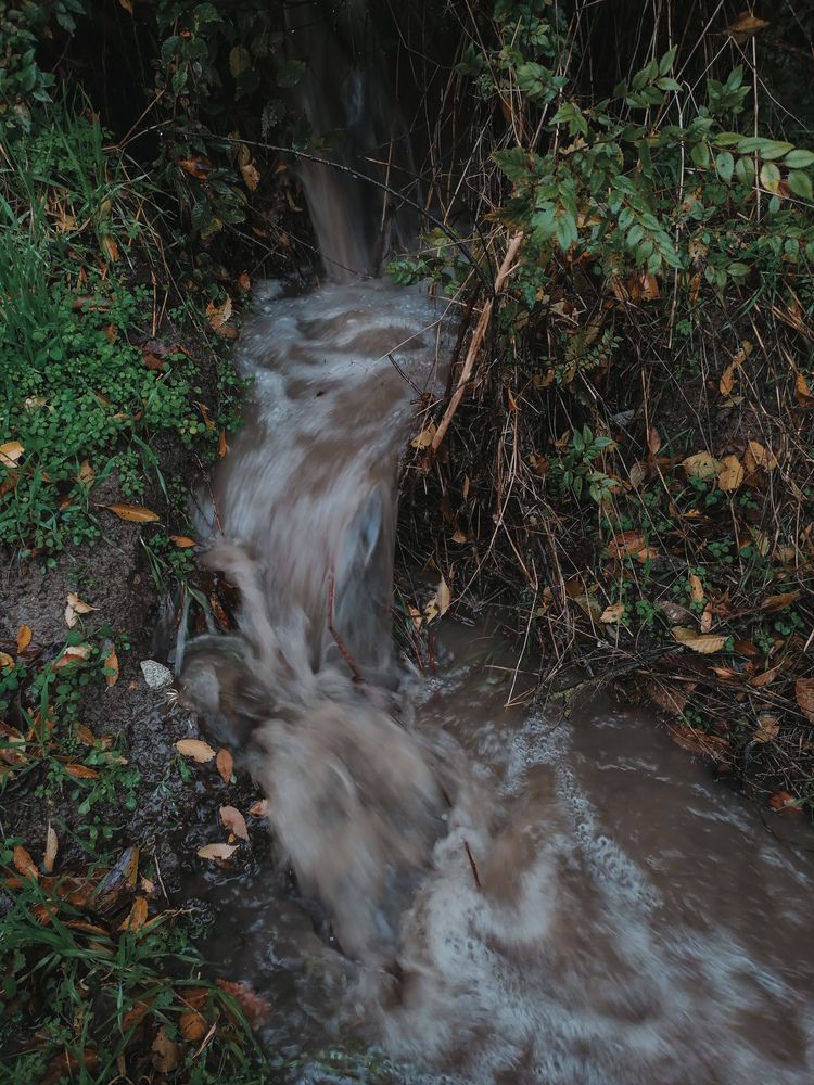 Photograph by Наталия Соболева