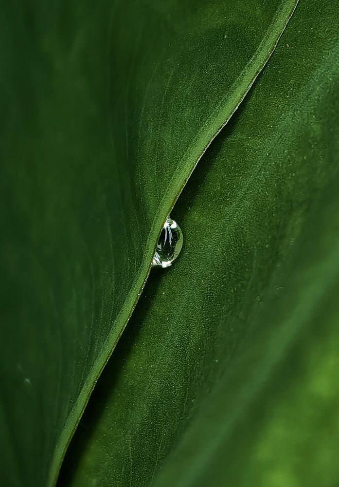 Photograph by Кристина Феминова