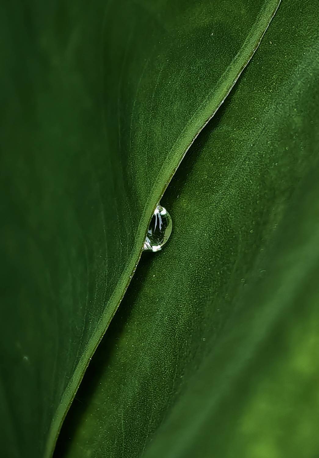 Фотография #13331278