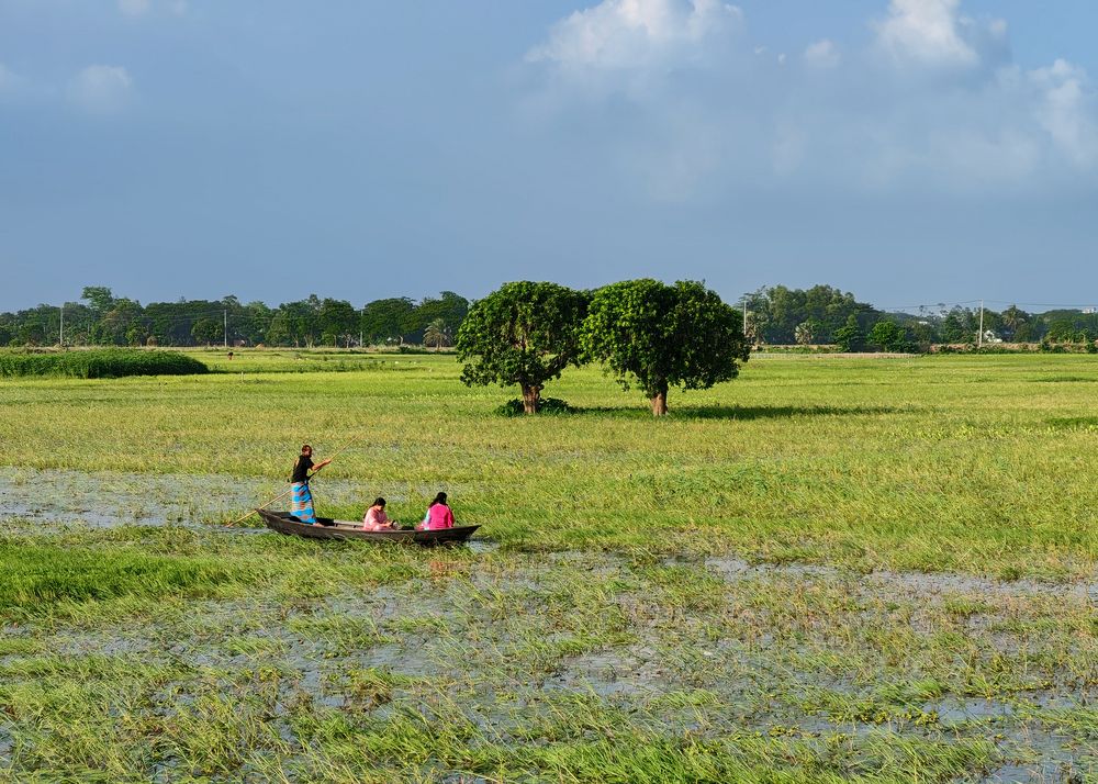 The Heart of Rural Bengal